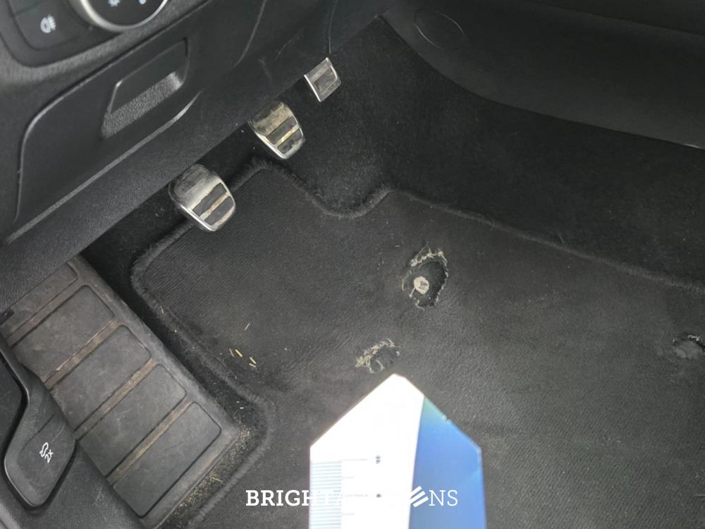 Ford Focus Wagon ST-Line Business 1.0 EcoBoost 125pk 2019 (Origineel-NL), ZH-287-J