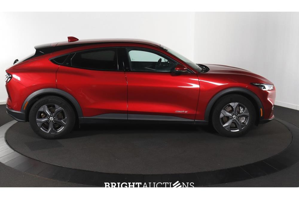 Ford Mustang RWD 75 kWh 2022 (Original-NL), P-598-LD