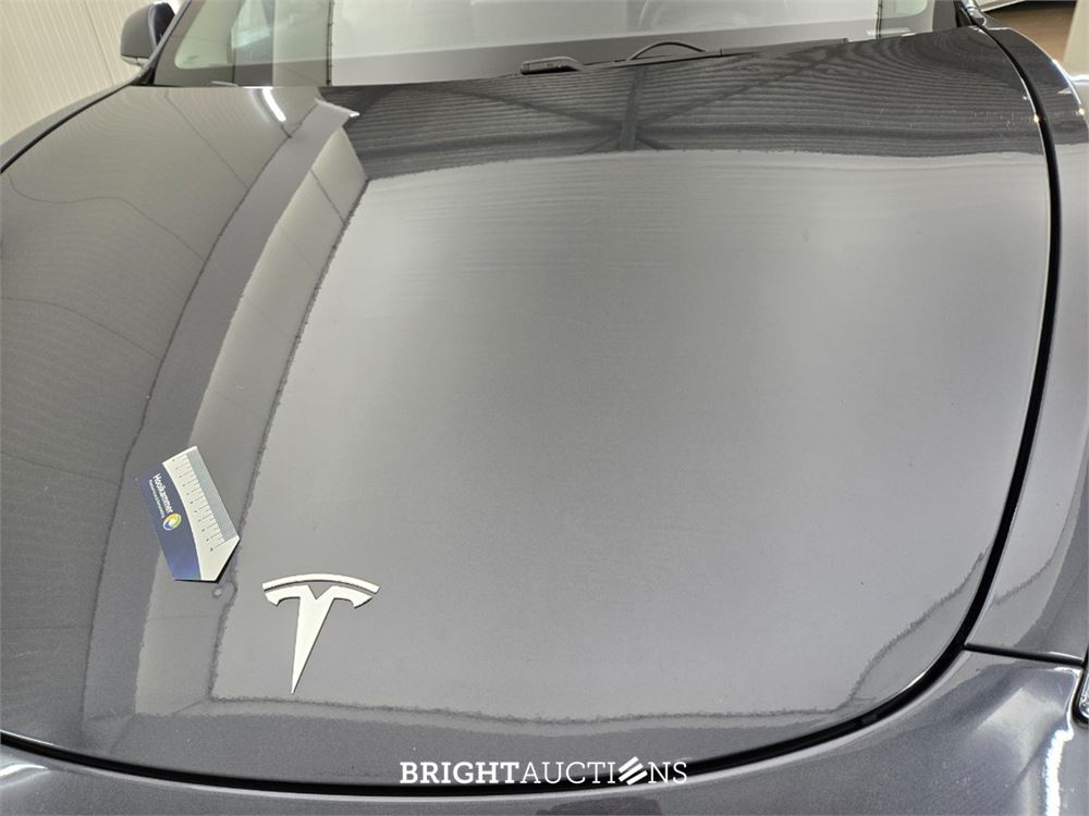 Tesla Model 3 Standard RWD Plus 60 kWh 238pk 2019 (Origineel-NL), G-349-DS