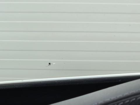 Mercedes-Benz C 250 Premium Plus 211pk 2018 C-klasse, K-857-FJ