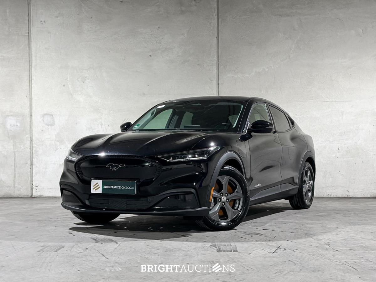 BUY-NOW Auction - Tiel