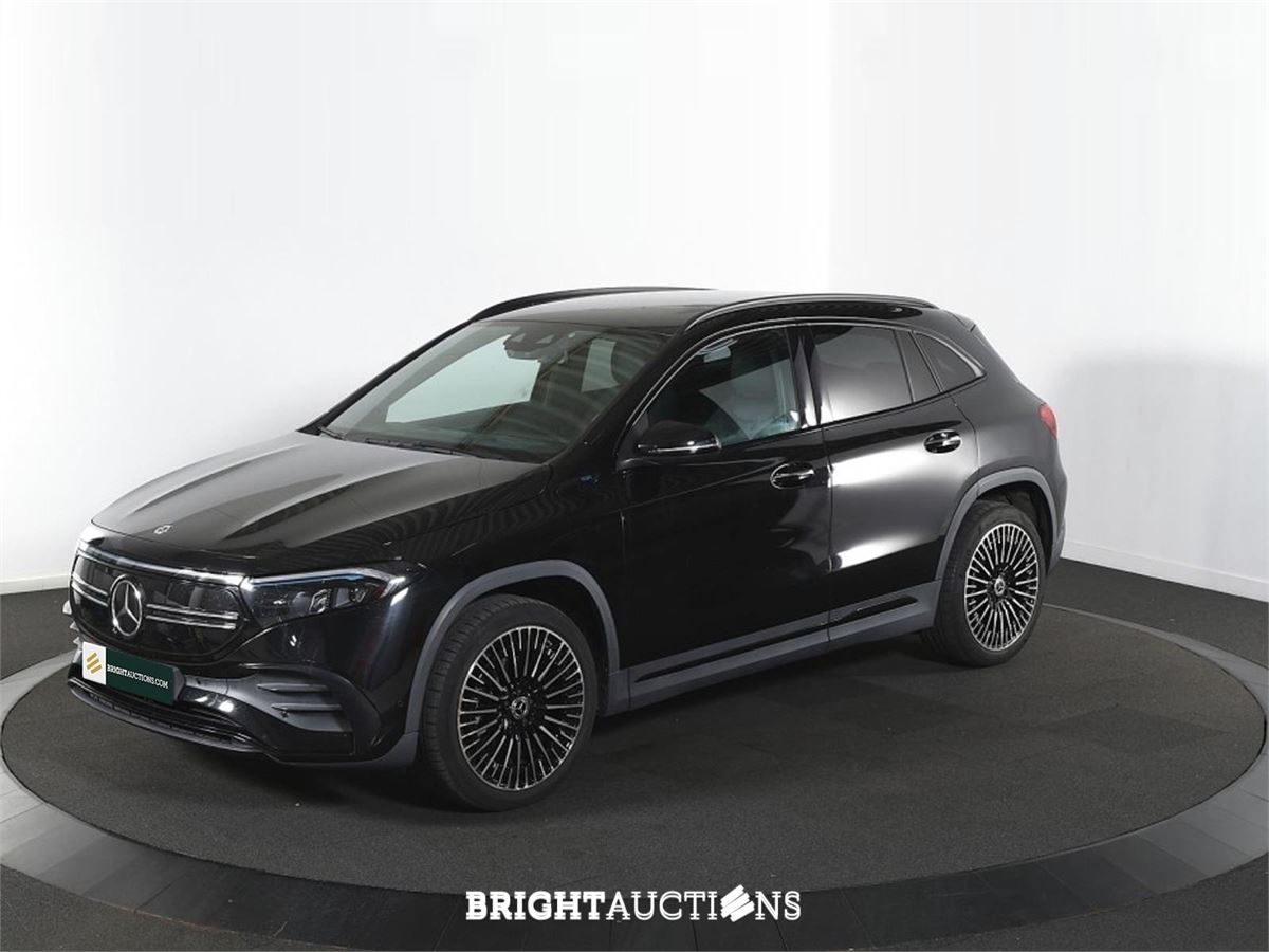 Electric Vehicle Auction