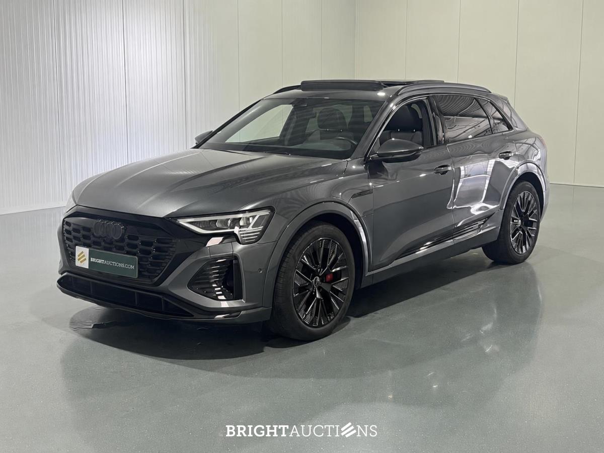 Electric Vehicle Auction