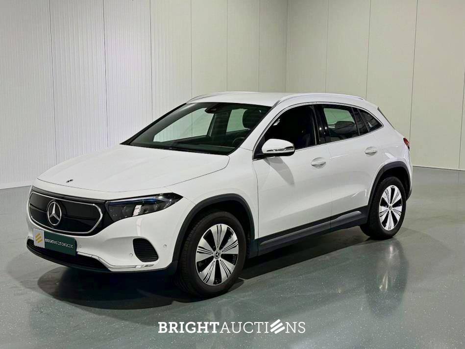 Electric Vehicle Auction