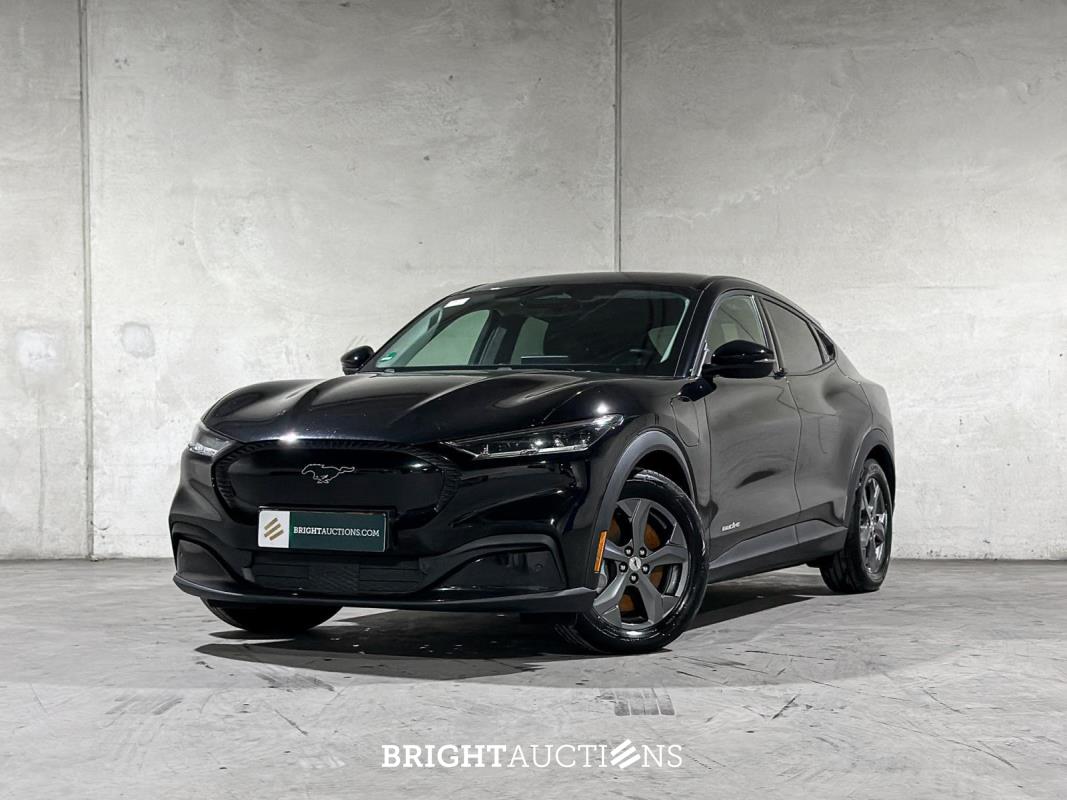 BUY-NOW Auction - Tiel