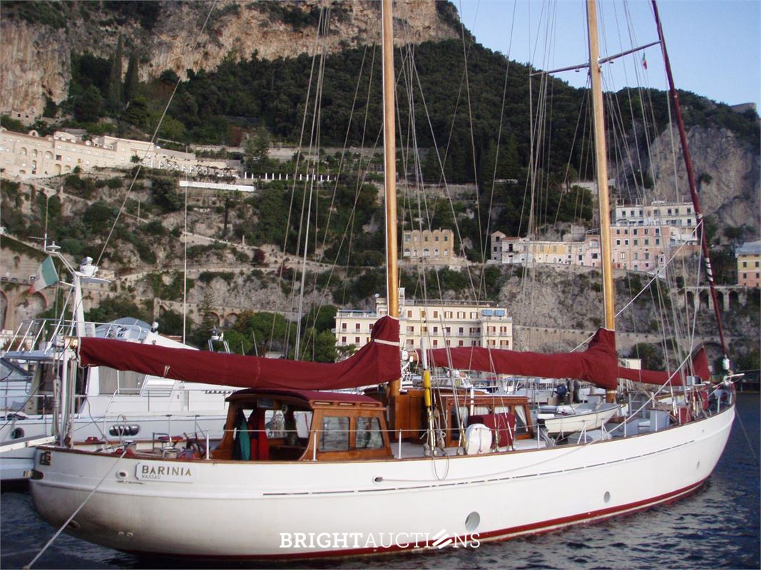 Molich SY Barinia