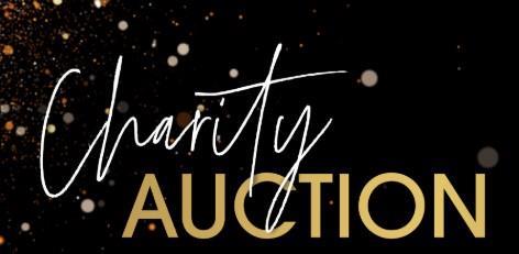 Charity Auction - Beat Batten 