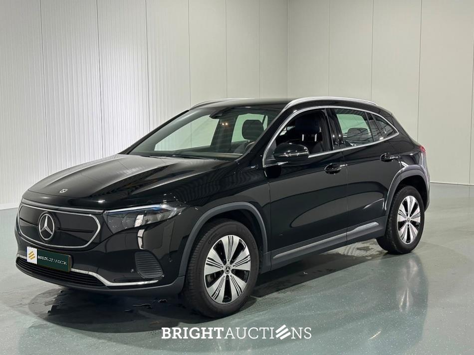 Electric Vehicle Auction