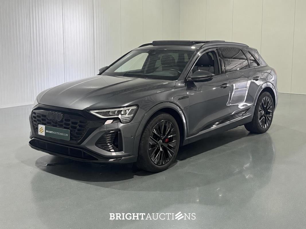 Electric Vehicle Auction