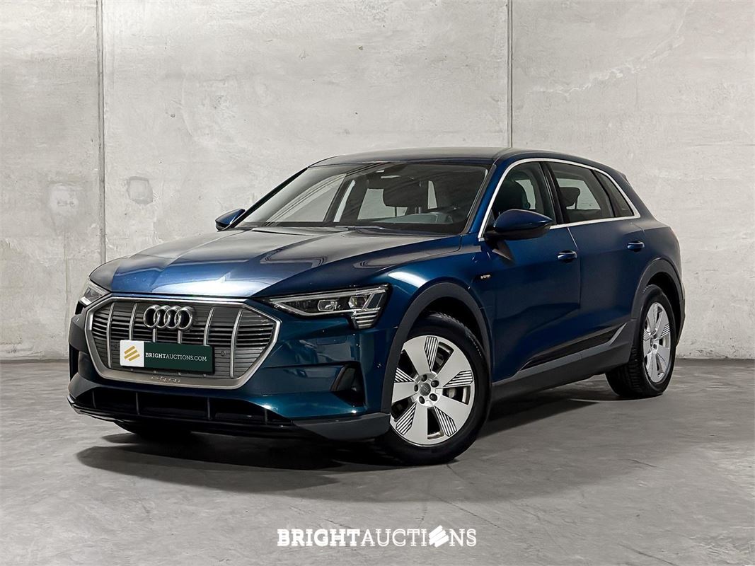 EV Car Auction (SOH) - Tiel