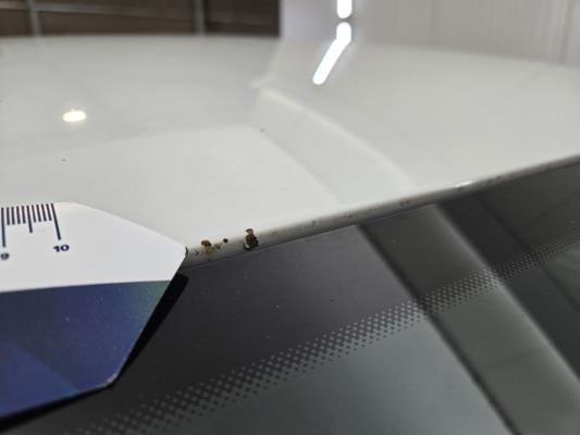 Volkswagen Golf Highline Business R 1.5 TSI 150pk 2019 (Origineel-NL), XG-637-X