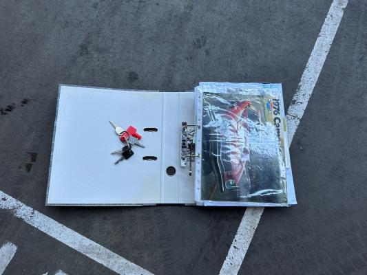 Chevrolet Camaro Sport 5.7 V8 350pk  1976, 96-YB-99