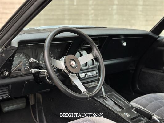Chevrolet Corvette 5.7 V8 Convertible Two-Tone L-82 ANNIVERSARY EDITION 1 YZ 87 194pk 1978, 15-XXL-9