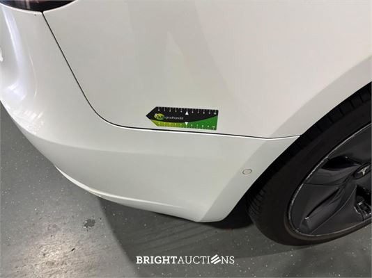 Tesla Model 3 Standard RWD Plus 60 kWh 238pk 2019 (Origineel-NL), G-097-DX