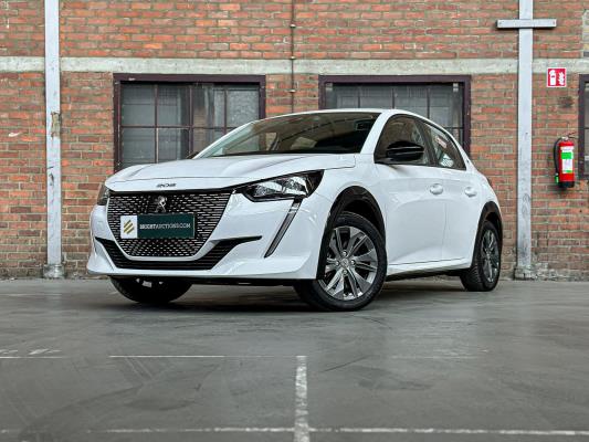 BRIGHT AUCTIONS: Electric Cars (EV) - Boxmeer & Milsbeek