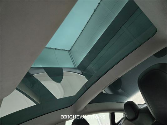 Tesla Model 3 Standard RWD Plus 60 kWh 238pk 2019 (Origineel-NL), G-349-DS