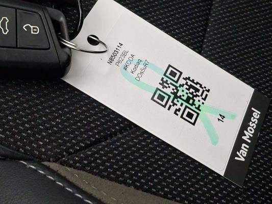 Skoda Kodiaq Business Edition 1.5 TSI 150pk 2022 (Origineel-NL), P-623-BL