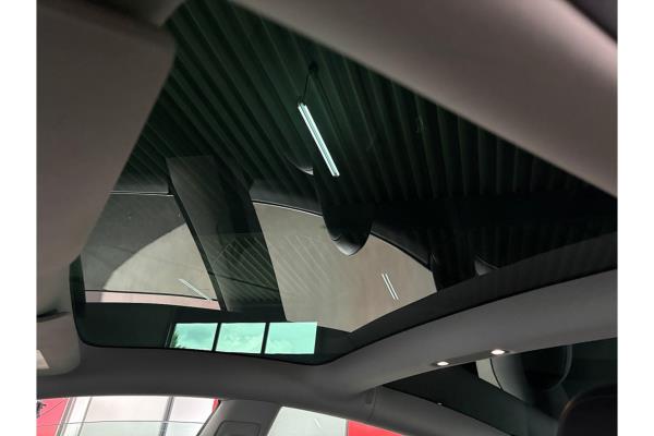 Tesla Model 3 Performance AWD 75 kWh 462pk 2019 (Origineel-NL), G-487-TG