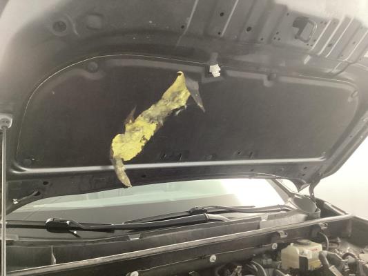 Toyota RAV4 Hybrid Business Plus 2.5 298pk 2021 (Origineel-NL), K-288-XG