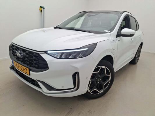 BRIGHT AUCTIONS: Premium Daily Driver Auction