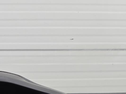 Peugeot 2008 Blue Lease Active 1.2 PureTech 102pk 2021 (Origineel-NL), K-518-TF