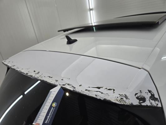 Volkswagen Golf GTI Performance 2.0 TSI 245pk 2017, L-416-LR