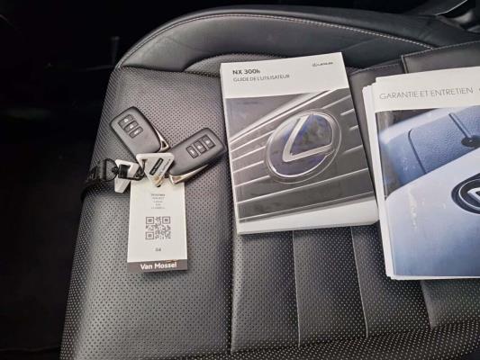 Lexus NX 300h F-Sport Line 2.5 AWD 155pk 2021