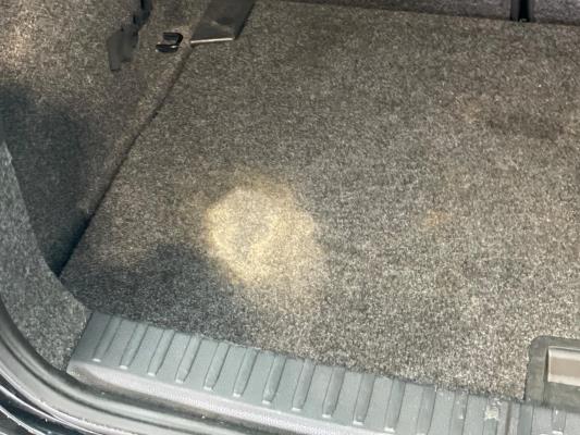 SEAT Ibiza FR Business Intense 1.0 TSI 95pk 2021 (Origineel-NL), K-742-SX