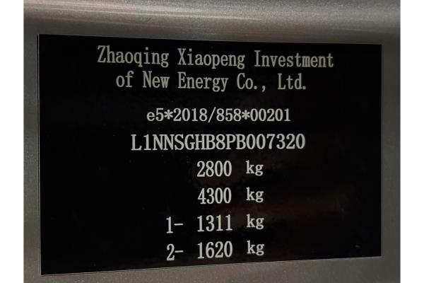 XPeng G9 Performance AWD 98 kWh 551pk 2024 (Origineel-NL), X-203-NZ