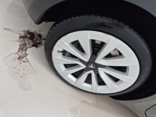 Tesla Model 3 Long Range Dual Motor AWD 258pk 2023