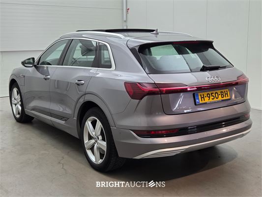 Audi e-tron 50 e-tron Launch edition plus Quattro 71 kWh 313pk 2019 (Origineel-NL), H-950-BH