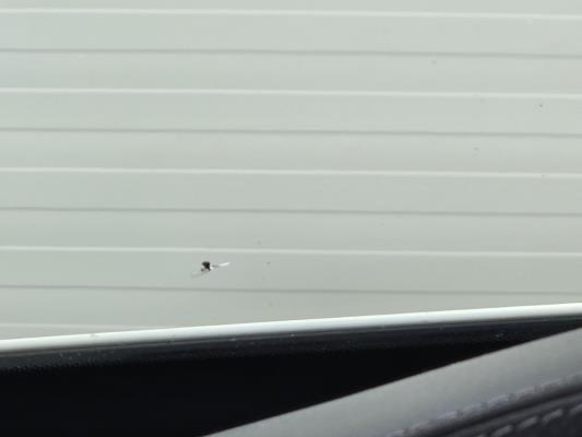 Mercedes-Benz C 250 Premium Plus 211pk 2018 C-klasse, K-857-FJ