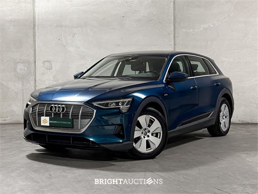 BRIGHT AUCTIONS: EV Car Auction (SOH) - Tiel