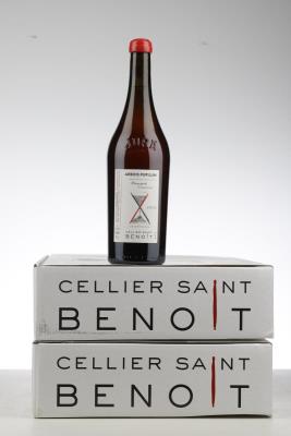 ARBOIS PUPILLIN PLOUSSARD CHAMBINES 2023 - Cellier Saint Benoit - 12 Bottles - Oc 6