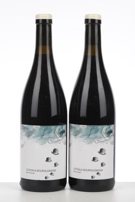 COTEAUX BOURGUIGNONS MON POULAIN 2021 - Les Horees - 2 Bottles