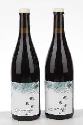 COTEAUX BOURGUIGNONS MON POULAIN 2022 - Les Horees - 2 Bottles