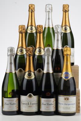 CHAMPAGNE MIXED  - Varnier Fannier/Casters/Ployez - 10 Bottles