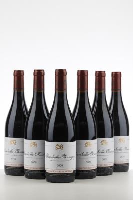 CHAMBOLLE MUSIGNY 2020 - Maxime Cheurlin Noellat - 6 Bottles