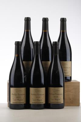 SAUMUR CHAMPIGNY LES POYEUX 2016 - Antoine Sanzay - 6 Bottles