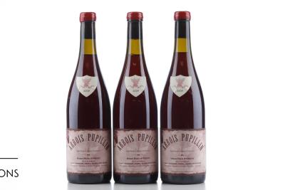 ARBOIS PUPILLIN POULSARD 2009 - Pierre Overnoy  - 3 Bottles