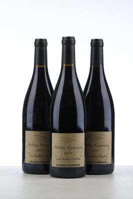 SAUMUR CHAMPIGNY LES SALLES MARTIN 2017 - Antoine Sanzay - 3 Bottles