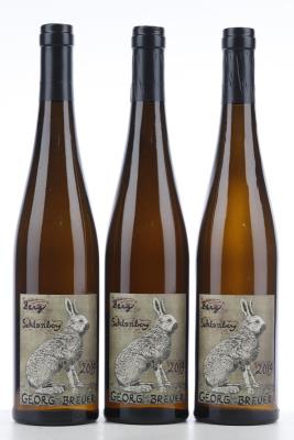 RUDESHEIM BERG SCHLOSSBERG RIESLING 2014 - Georg Breuer - 3 Bottles