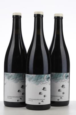 COTEAUX BOURGUIGNONS MON POULAIN 2021 - Les Horees - 3 Bottles
