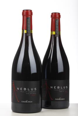 VINA CASA BLANCA 2007 - Neblus - 2 Bottles