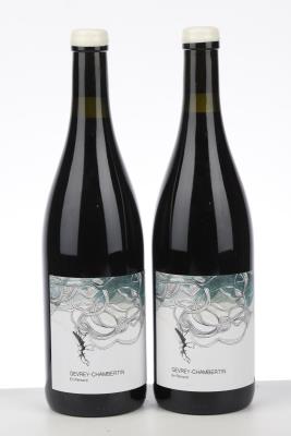 GEVREY CHAMBERTIN EN RENIARD 2020 - Les Horees - 2 Bottles