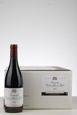 BOURGOGNE HAUTES COTES DE NUITS 2022 - Maxime Cheurlin Noellat  - 12 Bottles - Oc 12