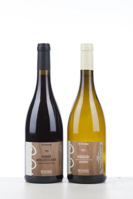MIXED LOT BURGUNDY 2020 - Petit Roy - Bourgogne Chardonnay, Hautes Cotes de Beaune Rouge - 2 Bottles