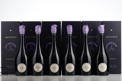 MARGUET SAPIENCE 1 ER CRU 2009 - Benoit Marguet - 6 Bottles - Oc 1