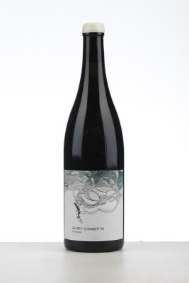 GEVREY CHAMBERTIN EN RENIARD 2021 - Les Horees - 1 Bottle