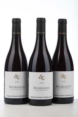 BOURGOGNE ROUGE 2021 - Sylvain Cathiard - 3 Bottles